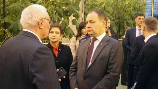 Миниатюра